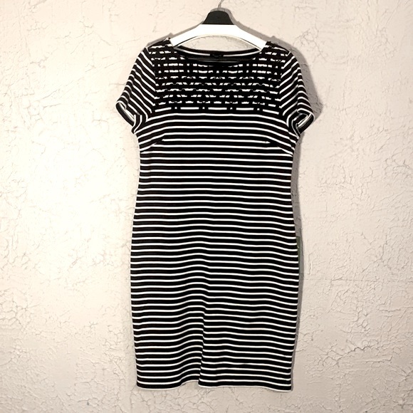 Talbots NEW Embroidered Dress Navy Large Floral Stripe Coastal Office Casual - Picture 8 of 12